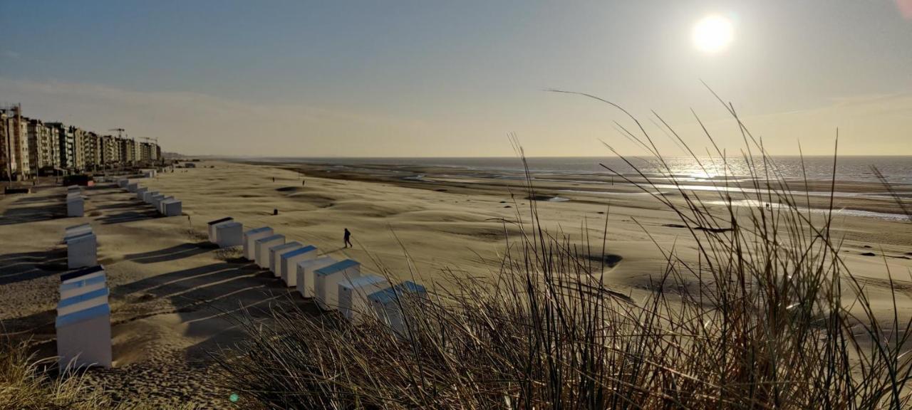 Le Zandkreek Plage & Centre - 2 Ch Koksijde Εξωτερικό φωτογραφία